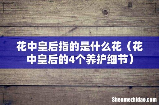花中皇后的4个养护细节 花中皇后指的是什么花