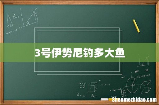3号伊势尼钓多大鱼
