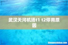 武汉天河机场t1 t2停用原因
