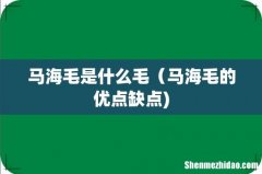 马海毛是什么毛（马海毛的优点缺点)