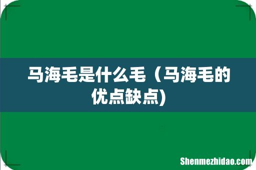 马海毛是什么毛（马海毛的优点缺点)