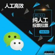 人工微信投票可信不刷票价格 微信人工投票70元1000票
