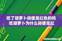 吃了胡萝卜排便是红色的吗 吃胡萝卜为什么排便是红色的