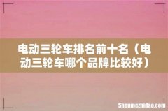 电动三轮车哪个品牌比较好 电动三轮车排名前十名