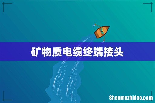 矿物质电缆终端接头
