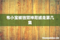 韦小宝被独臂神尼掳走第几集