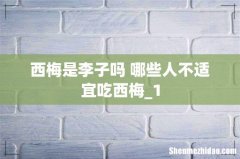西梅是李子吗 哪些人不适宜吃西梅_1
