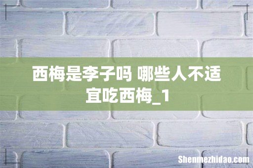 西梅是李子吗 哪些人不适宜吃西梅_1