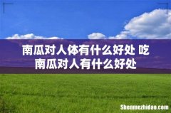 南瓜对人体有什么好处 吃南瓜对人有什么好处