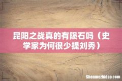 史学家为何很少提刘秀 昆阳之战真的有陨石吗