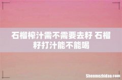 石榴榨汁需不需要去籽 石榴籽打汁能不能喝