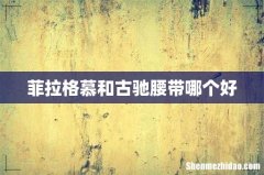 菲拉格慕和古驰腰带哪个好