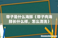 带子肉海鲜长什么样，怎么清洗 带子是什么海鲜
