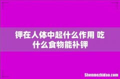 钾在人体中起什么作用 吃什么食物能补钾