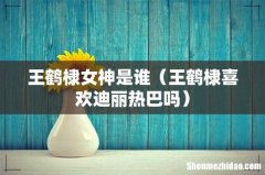 王鹤棣喜欢迪丽热巴吗 王鹤棣女神是谁