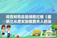 盛明兰从庶女到侯爵夫人的浴火重生 知否知否应是绿肥红瘦