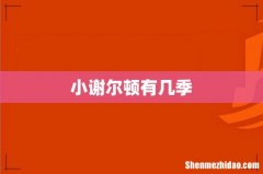 小谢尔顿有几季
