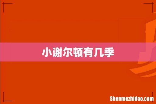 小谢尔顿有几季