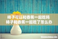 柿子可以和香蕉一起吃吗 柿子和香蕉一起吃了怎么办