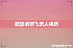 鼓浪屿禁飞无人机吗