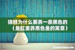 鱼缸里养黑色鱼的寓意 锦鲤为什么要养一条黑色的