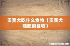 贵宾犬能吃的食物 贵宾犬吃什么食物