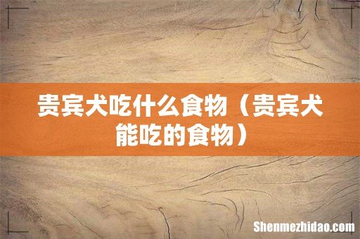 贵宾犬能吃的食物 贵宾犬吃什么食物