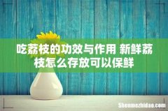 吃荔枝的功效与作用 新鲜荔枝怎么存放可以保鲜