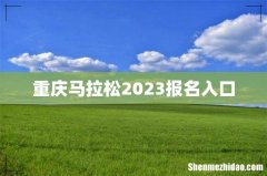 重庆马拉松2023报名入口