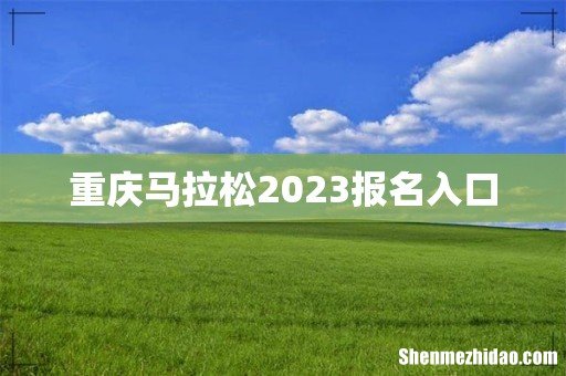 重庆马拉松2023报名入口