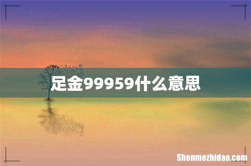 足金99959什么意思
