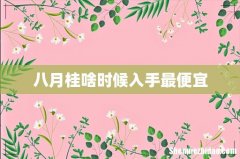 八月桂啥时候入手最便宜
