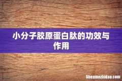 小分子胶原蛋白肽的功效与作用