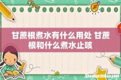 甘蔗根煮水有什么用处 甘蔗根和什么煮水止咳