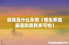 寄生恶魔藤壶到底有多可怕 藤壶是什么东西