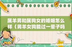 属羊男和属狗女的婚姻怎么样（男羊女狗能过一辈子吗)