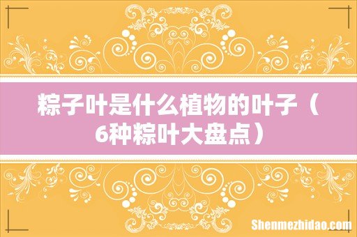 6种粽叶大盘点 粽子叶是什么植物的叶子