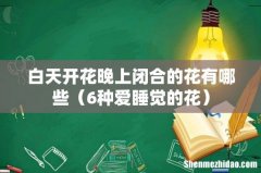 6种爱睡觉的花 白天开花晚上闭合的花有哪些