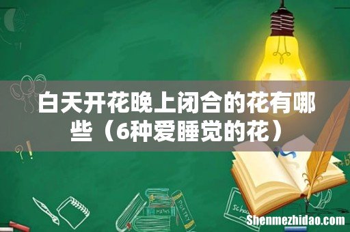 6种爱睡觉的花 白天开花晚上闭合的花有哪些