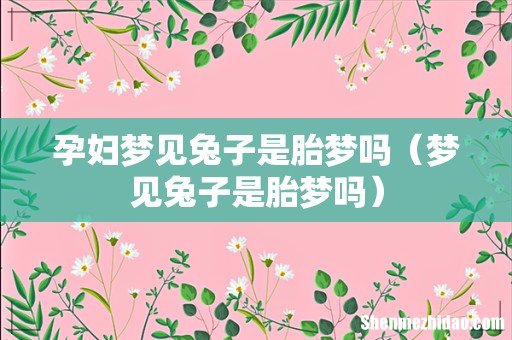 梦见兔子是胎梦吗 孕妇梦见兔子是胎梦吗