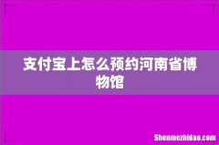 支付宝上怎么预约河南省博物馆
