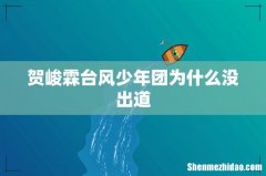 贺峻霖台风少年团为什么没出道