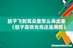 蚊子喜欢光亮还是黑暗 蚊子飞到耳朵里怎么弄出来