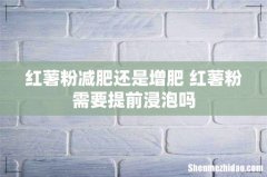 红薯粉减肥还是增肥 红薯粉需要提前浸泡吗