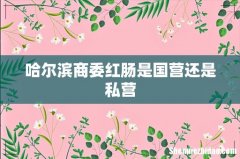 哈尔滨商委红肠是国营还是私营
