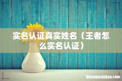 王者怎么实名认证 实名认证真实姓名