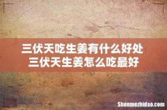 三伏天吃生姜有什么好处 三伏天生姜怎么吃最好