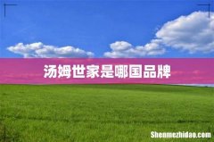 汤姆世家是哪国品牌