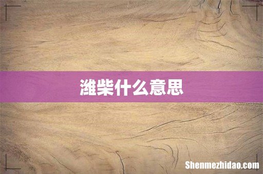 潍柴什么意思