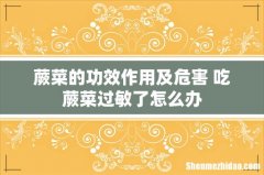 蕨菜的功效作用及危害 吃蕨菜过敏了怎么办